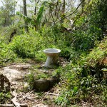 Cebu_Hills_7