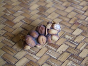 Katzenkacke